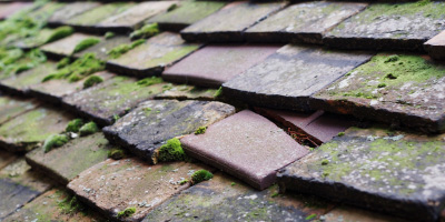 Henbury roof repair costs
